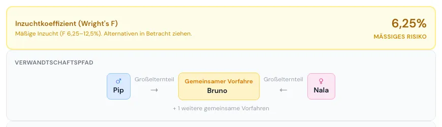 Inzuchtkoeffizient des gewählten Paares mit mäßigem Risiko
