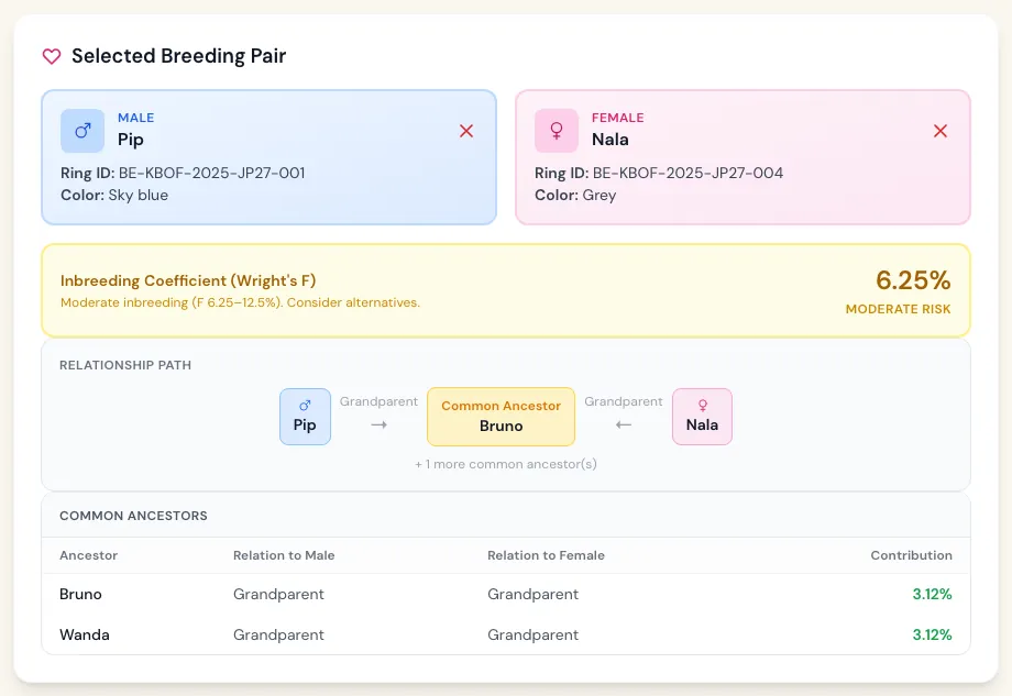 Common ancestors of the pair with their relation and contribution