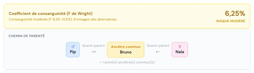 Coefficient de consanguinité du couple choisi avec un risque modéré