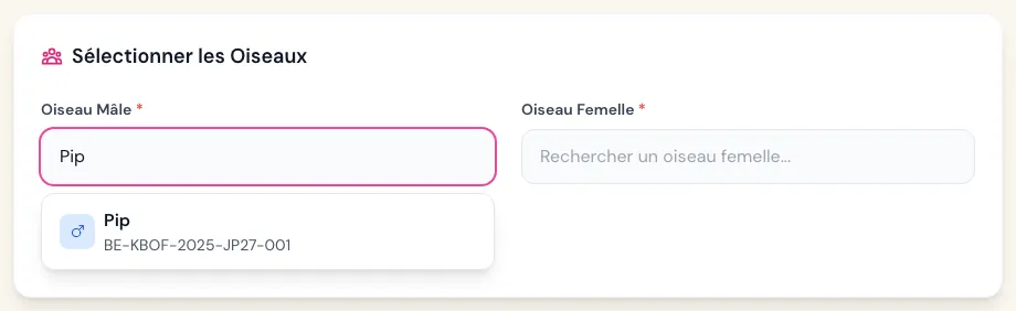 Recherche du mâle par son nom lors de la création d'un couple