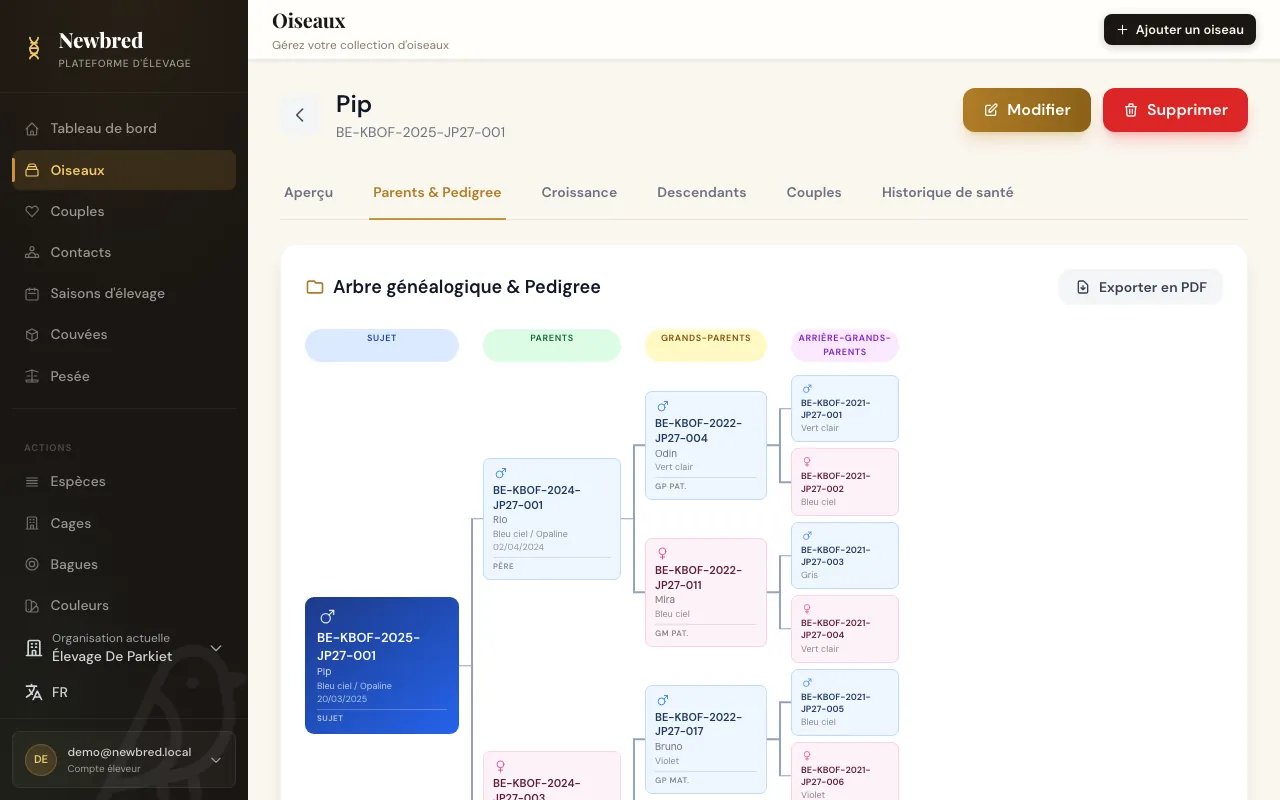 Pedigree d'un oiseau avec le bouton Exporter en PDF